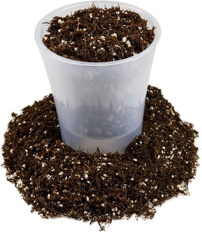 Premium Aglaonema Plant Soil Mix by Gardenera - Stimulate Growth and Elevate Leaf Color with