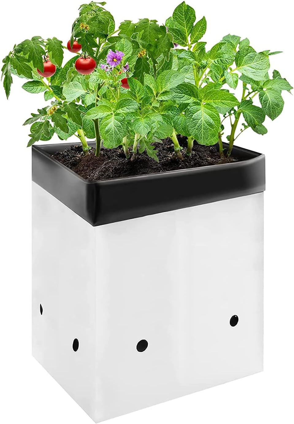 VIVOSUN 50-Pack 2 Gallon Grow Bags for Plants, Black-and-White Panda Film Containers Thick Plastic