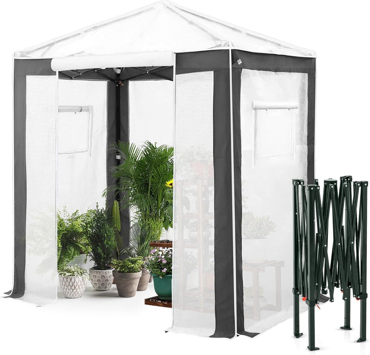 EAGLE PEAK 6x4 Portable Walk in Greenhouse with Polyester Reinforced Corners, Instant Pop up Indoor