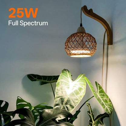 Bstrip Hanging Grow Lights for Indoor Plants, 18W Full Spectrum, Boho Rattan Lantern Shade, 3800K