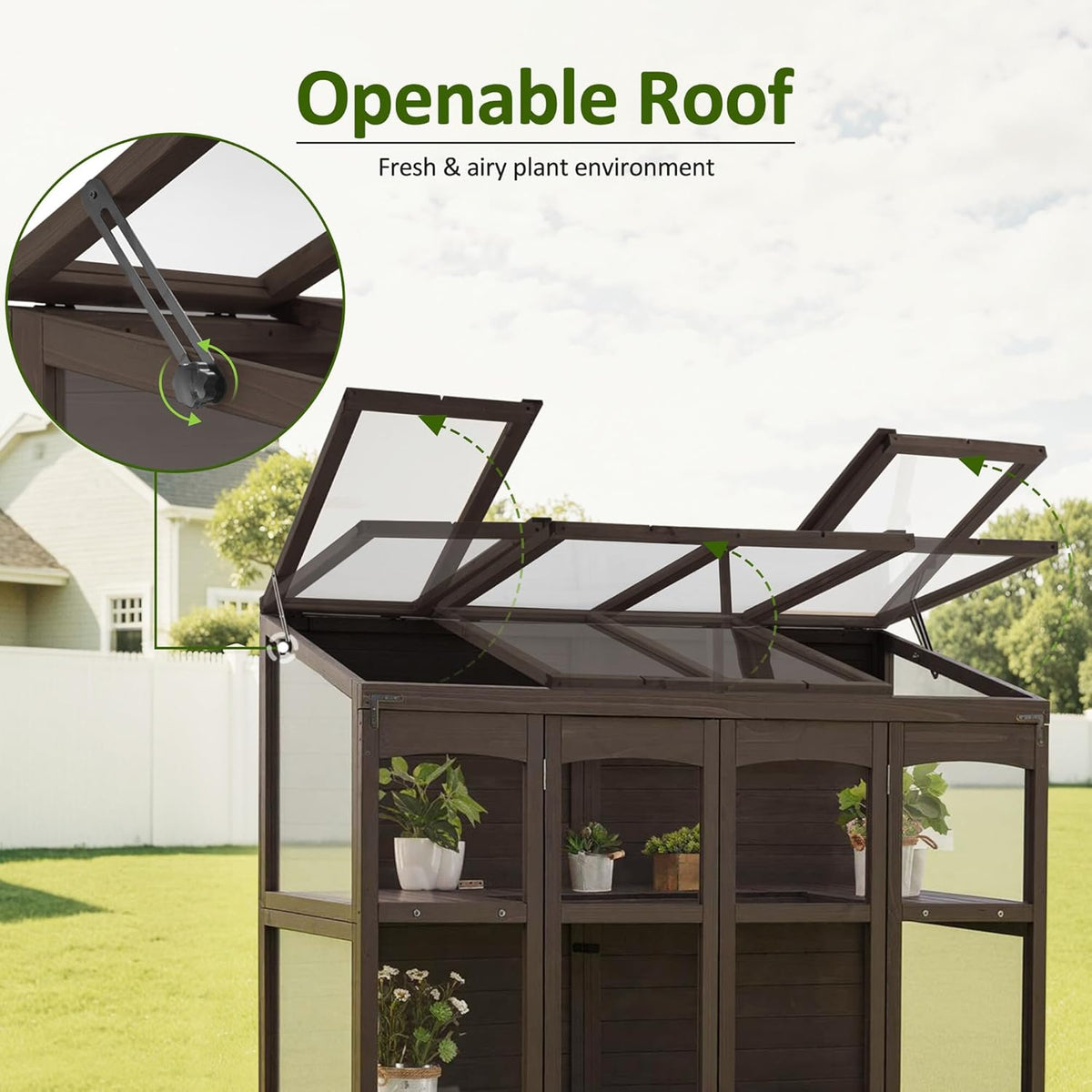 MCombo Wooden Greenhouse, Walk-in Outdoor Greenhouse with Openable Roof and Lockable Door, 0899