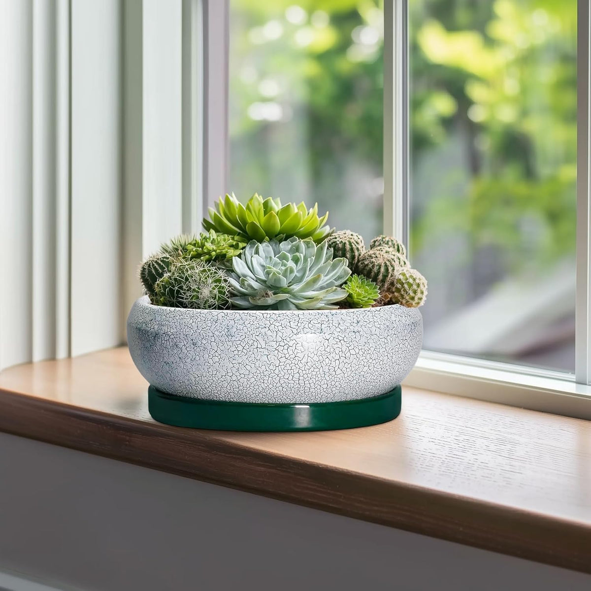 Succulent Planters 10 Inch - Ceramic Bonsai Pots with Drainage Hole and Saucer, Large Succulent