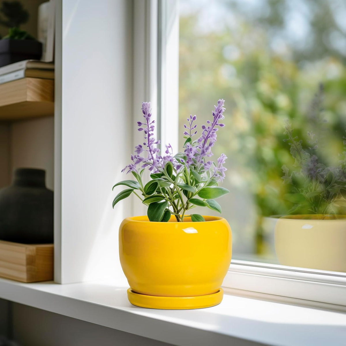 SQOWL 6 Inch Plant Pot - Ceramic Planter with Drainage Hole and Saucer, Modern Ceramic Flower Pots