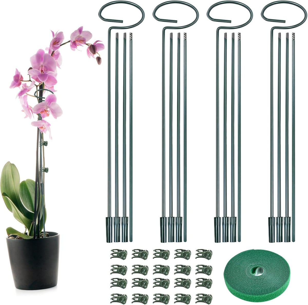 4 Set Metal Plant Sticks Support Tall 48 Inch Adjustable Plants Stem Support Rod Amaryllis Holder