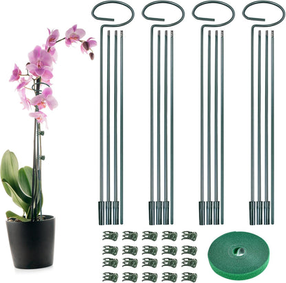 4 Set Metal Plant Sticks Support Tall 48 Inch Adjustable Plants Stem Support Rod Amaryllis Holder