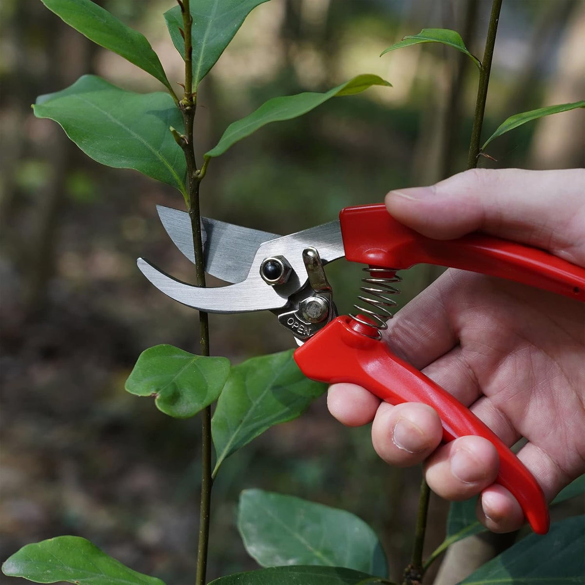 7" Small Pruning Shears Garden Shears - Premium Alloy Steel Bypass Pruner, Precision-ground Blades