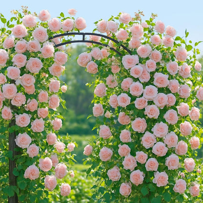 Metal Garden Arbor, Garden Arch Trellis for Climbing Plants, Decorative Archway Wedding Arch Frame