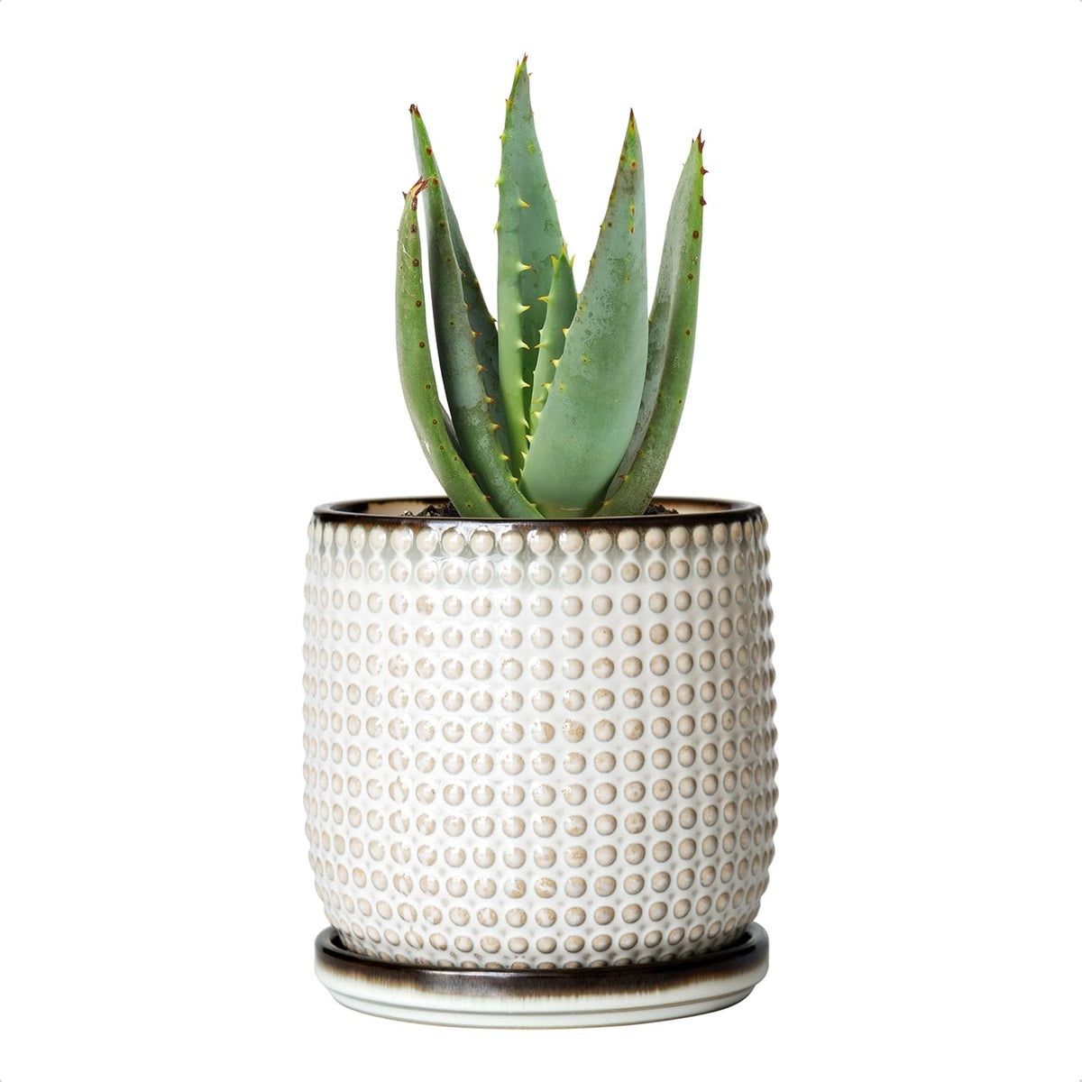 D'vine Dev 4 Inch Ceramic Beaded Stoneware Planter Pot - Flower Pot with Drainage Holes and Saucers
