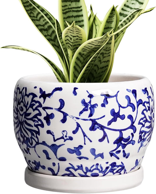 SQOWL 6 Inch Planter - Ceramic Plant Pots Indoor with Drainage Hole and Saucer, Round Ceramic