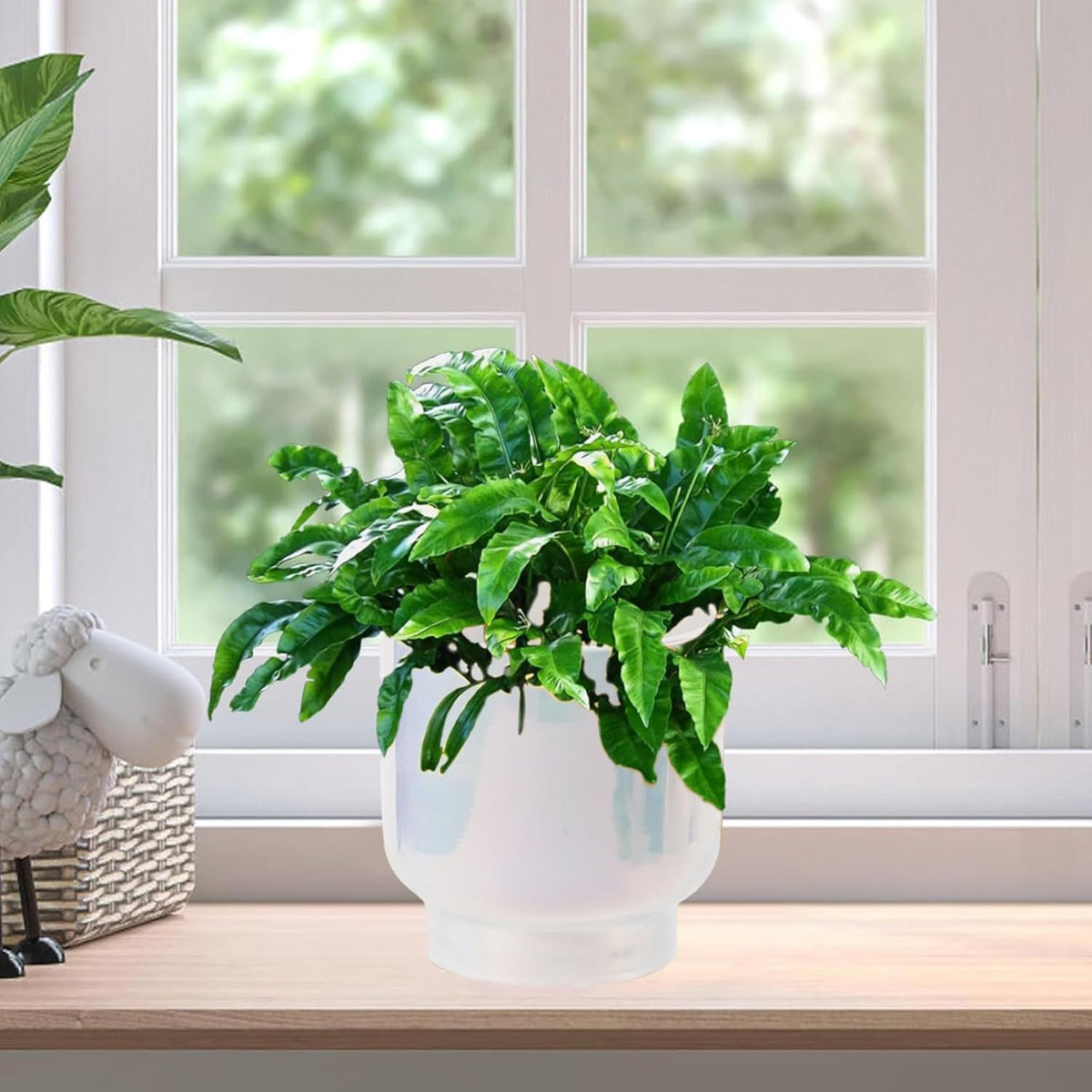 LB Blue White Ceramic Planters for Indoor Plants, Succulent Plant Pots Ceramic Plant Pot, Modern