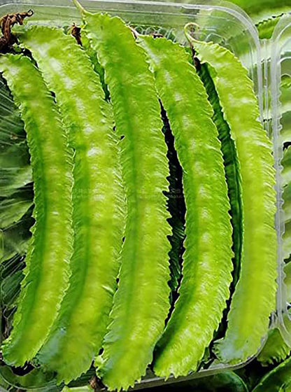 Winged Bean Seeds - Almost All Parts of The Plant are Edible. Once Considered The Food That Could