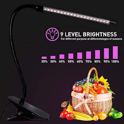 LED Grow Lights for Indoor Plants 20 LED, Plant Growing Lights Full Spectrum Auto ON Off with