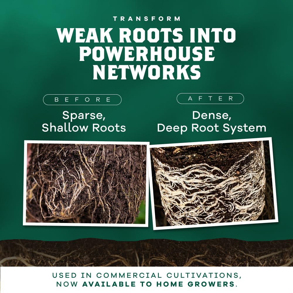 DYNOMYCO Granular Mycorrhizal Fungi Inoculant, 200g / 7oz – Boosts Root Growth, Yields & Nutrient