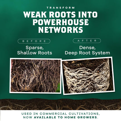 DYNOMYCO Granular Mycorrhizal Fungi Inoculant, 200g / 7oz – Boosts Root Growth, Yields & Nutrient