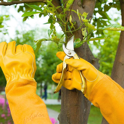 Acdyion Gardening Gloves for Women/Men Rose Pruning Thorn & Cut Proof Long Forearm Protection