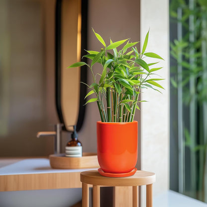 Ceramic Planter - 8 Inch Plant Pot with Drainage Hole and Saucer, Cylinder Round Modern Flower Pot