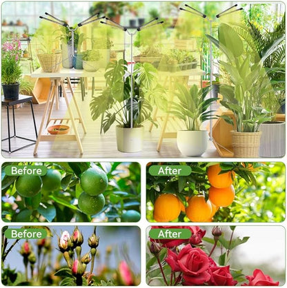 Grow Lights for Indoor Plants Full Spectrum,15-62 Inches Height Adjustable Dsektop and Standing