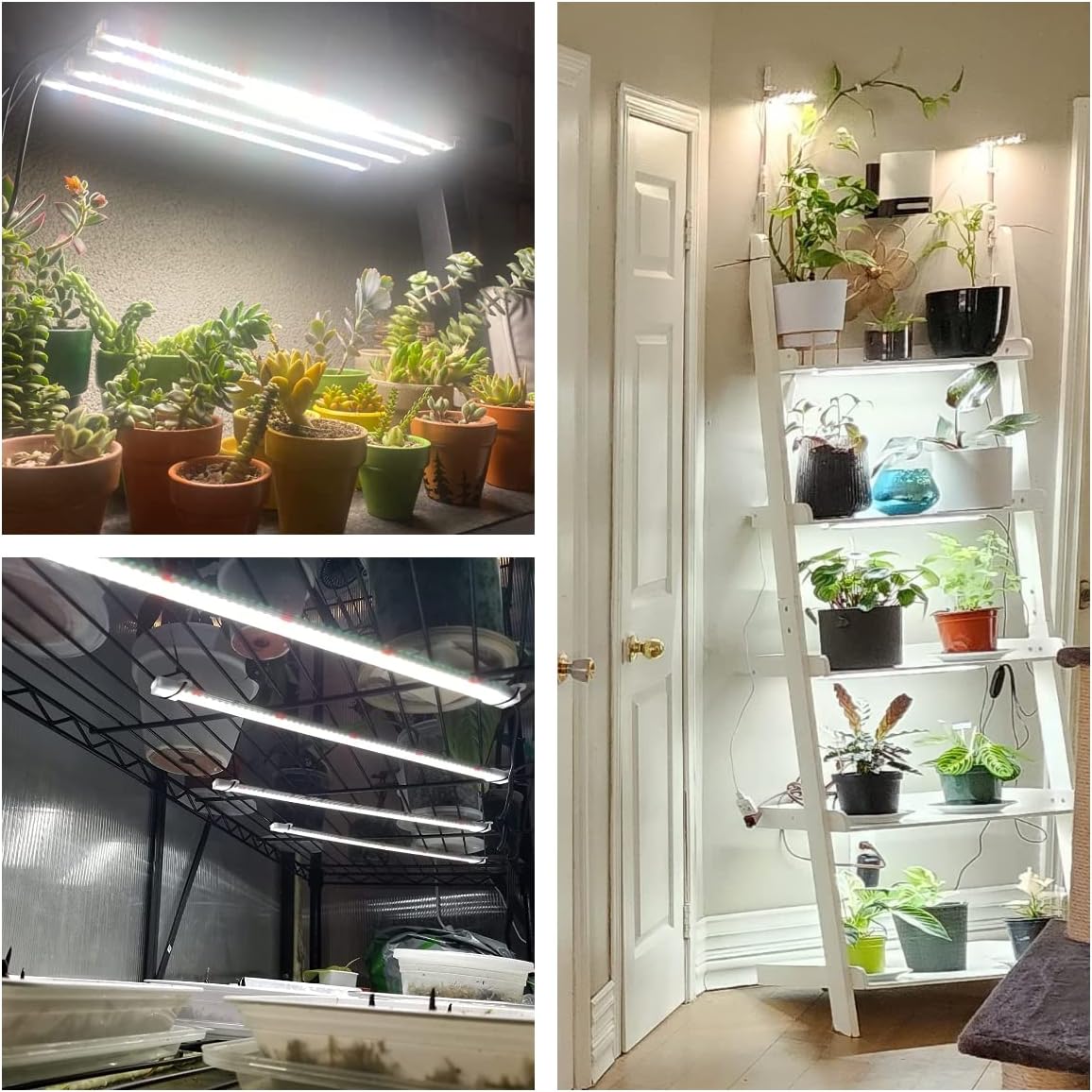 Wiaxulay Grow Lights for Indoor Plants Full Spectrum, 120 LEDs Plant Grow Light Strips with Auto