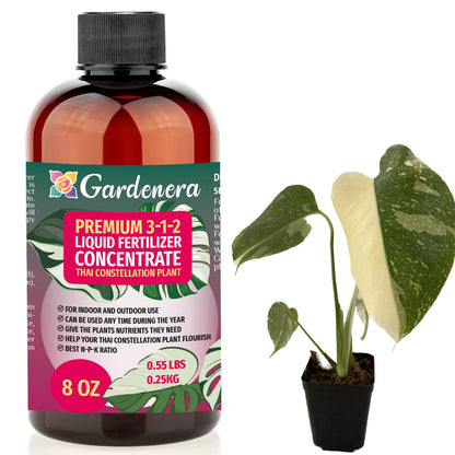 Premium Liquid Thai Constellation Plant Fertilizer - 3-1-2 Concentrate for Indoor Plants and