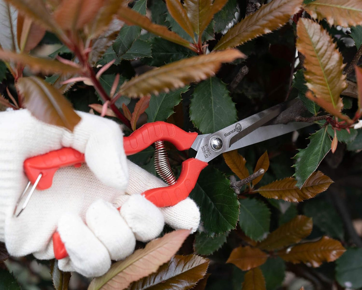 Sanung 2 PACK Multifunctional Thin Fruit Scissors, P-905 Garden Pruner Shears Cutters with
