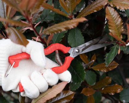 Sanung 2 PACK Multifunctional Thin Fruit Scissors, P-905 Garden Pruner Shears Cutters with