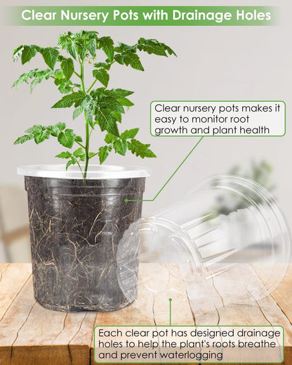 PACETAP 60Pack 3.5 Inch Reinforced Clear Nursery Pots with Drainage Holes, Variety Pack Plastic