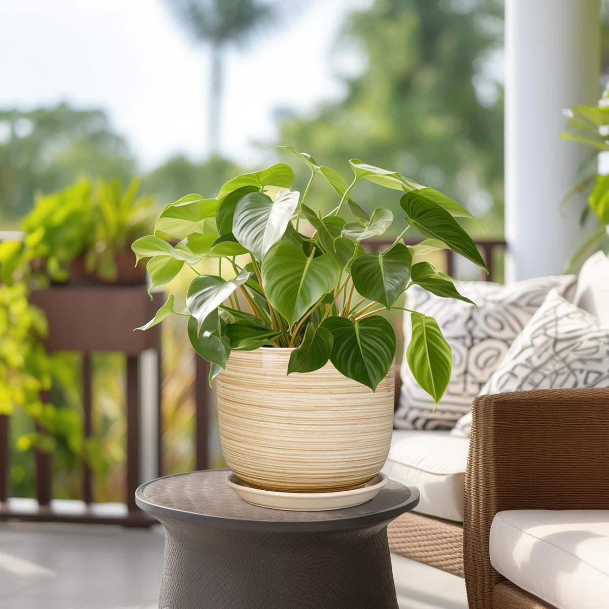Indoor Plant Pot 8 Inch - Cylinder Modern Ceramic Planter for Indoor Outdoor Plants with Drainage