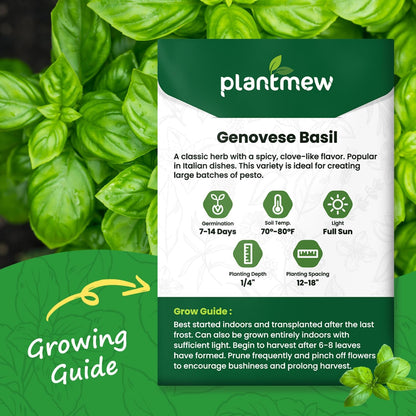 Genovese Basil Seeds for Planting - 500 Heirloom, Non-GMO Seeds - Sweet Basil Herb Seeds for Home