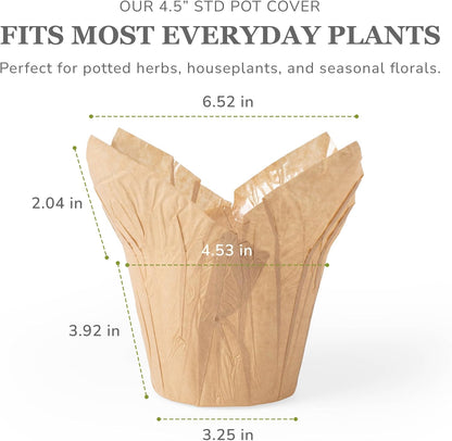 4.5” Plant Pot Covers, Decorative Plant Sleeve for Indoor House Plants, Reusable and Gift-Ready for