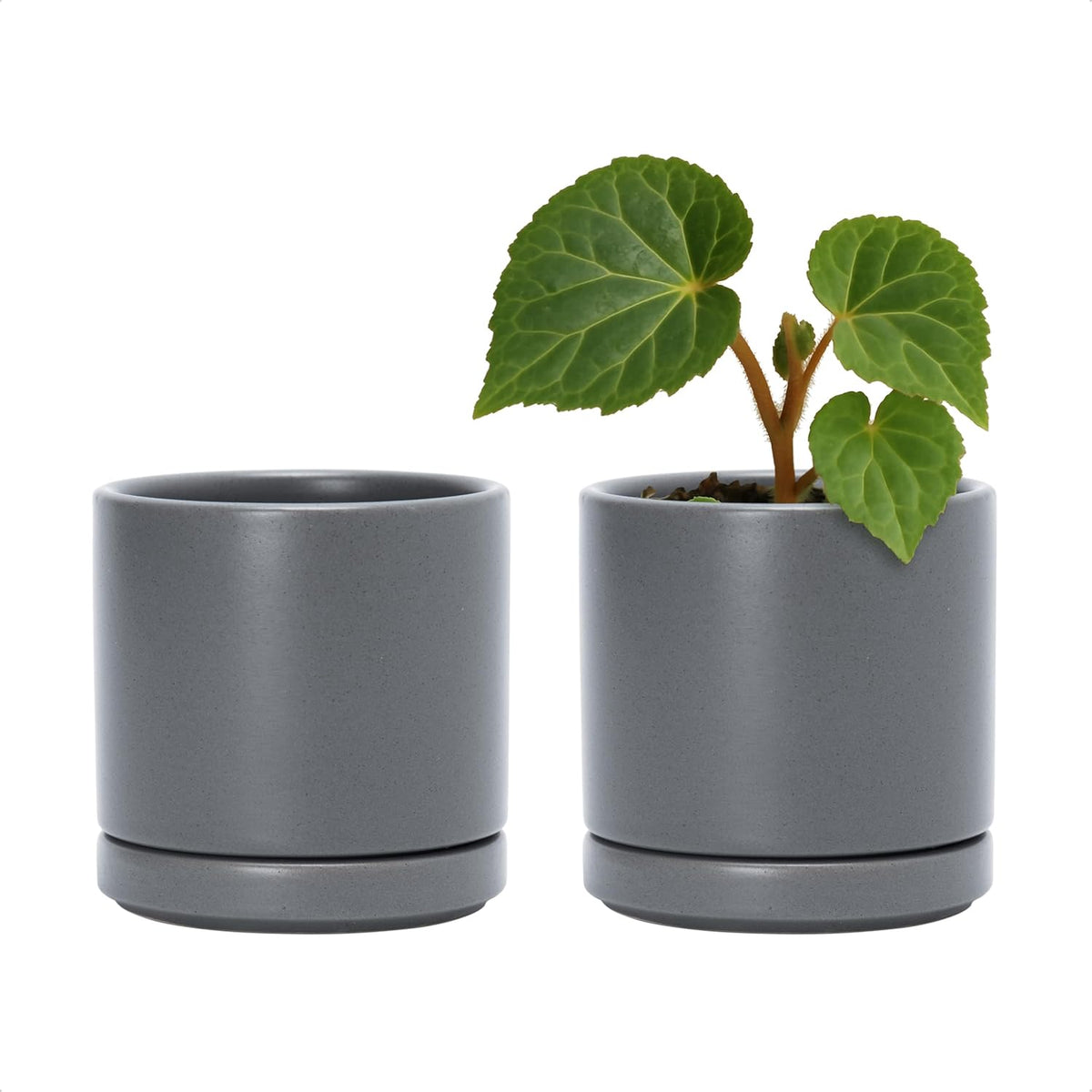 D'vine Dev Set of 2 Plants Pots, 3.5 Inch Ceramic Planter Pot for Plants with Drainage Hole and