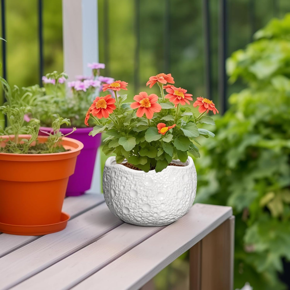 Ceramic Pots for Plants - 6 Inch Plant Pot for Indoor Outdoor, Decorative Orchid Pots with Drainage