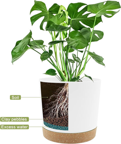 QCQHDU 8 inch Plant Pot, 2 Pack Planters for Indoor Plants with Drainage Holes & Saucer, Outdoor