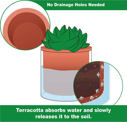 Phoenix Vine 4 Inch Self Watering Plants Pot, Design Terracotta Pot for Plants, Indoor Cylinder