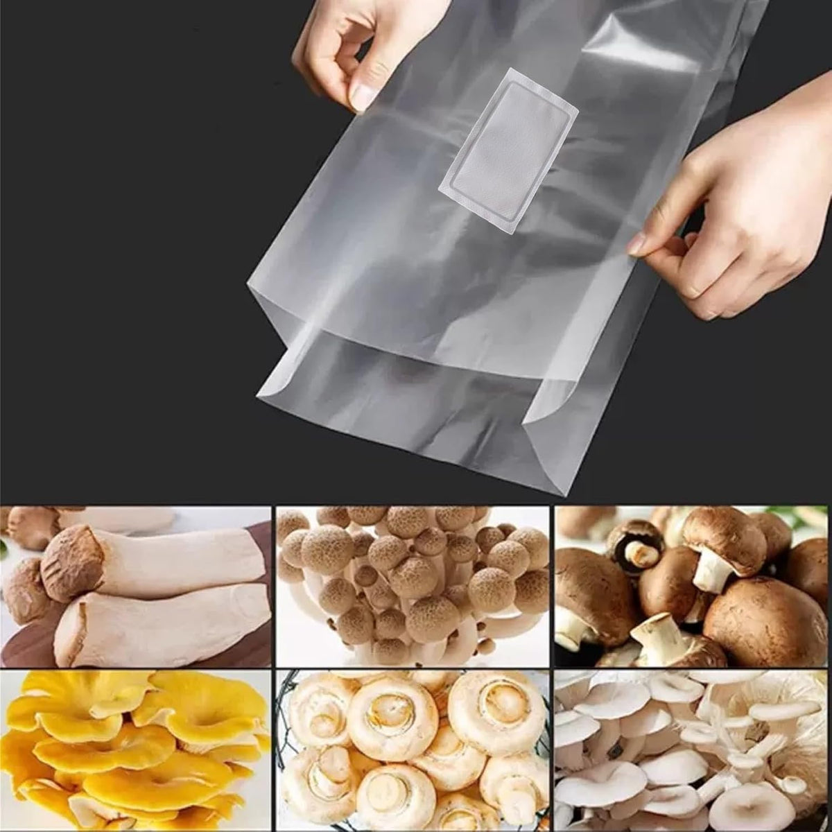 Sealable Mushroom Grow Bags with 0.2 Micron Filter,10''x5.5''x24'',0.08mm/3.15mil Thick PP,Extra