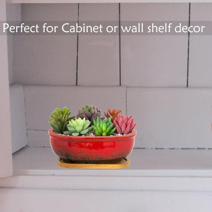 Succulent Pots, 7.9 Inch Long Rectangular Succulent Planters with Drainage Tray, Shallow Planters