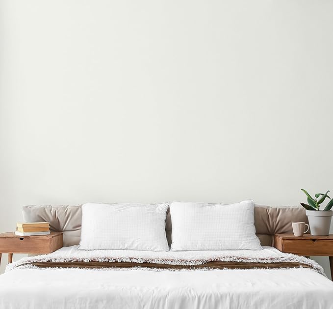 EVOLVE Paint & Primer: Environment-friendly, Eggshell with One-coat Coverage for Interior &