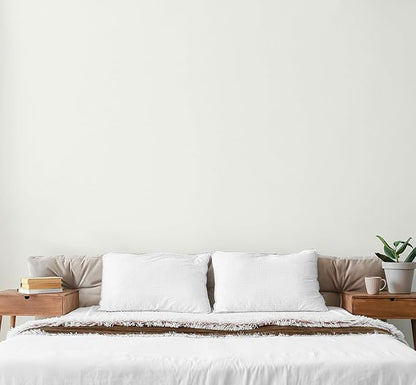 EVOLVE Paint & Primer: Environment-friendly, Eggshell with One-coat Coverage for Interior &