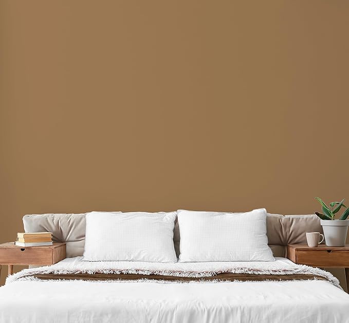 EVOLVE Paint & Primer: Environment-friendly, Low Sheen with One-coat Coverage for Interior &