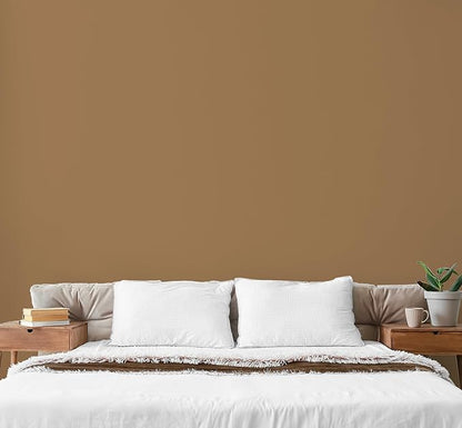 EVOLVE Paint & Primer: Environment-friendly, Low Sheen with One-coat Coverage for Interior &