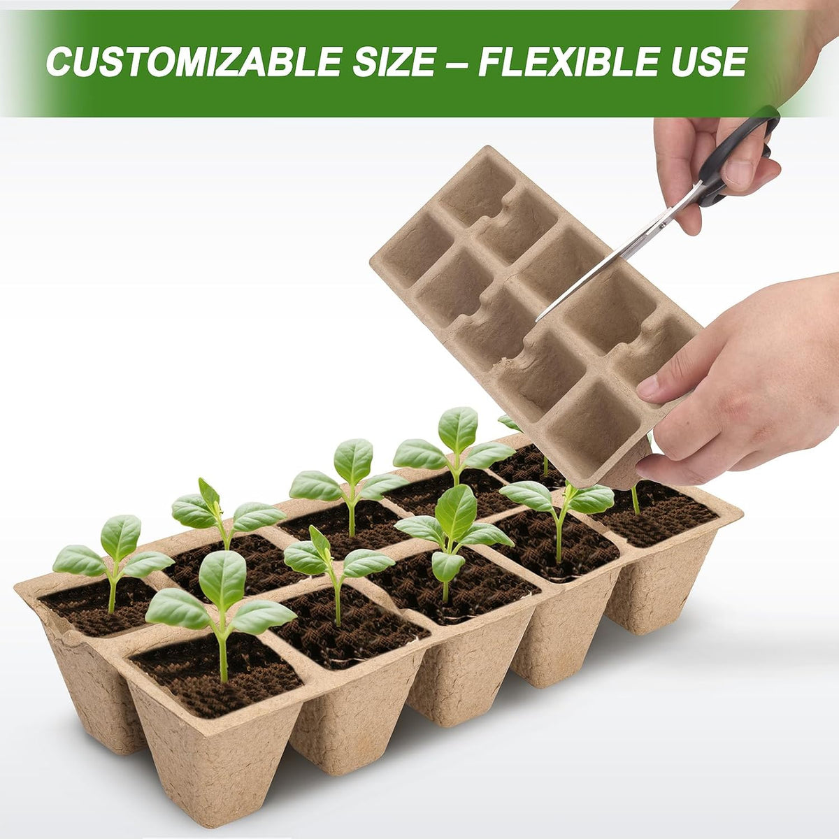 200 Cells Peat Pots, Seed Starter Trays Planting Trays for Seedlings, 20 Pack Germination Trays