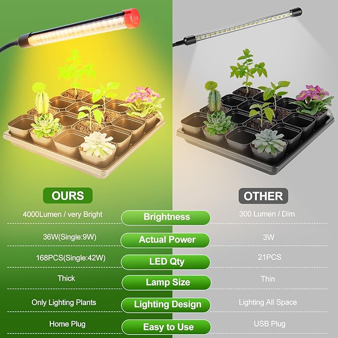 4-Head Desk Grow Lights for Indoor Plants, Seed Starting, Bonsai, Succulent, Cactus with Timer, 36W