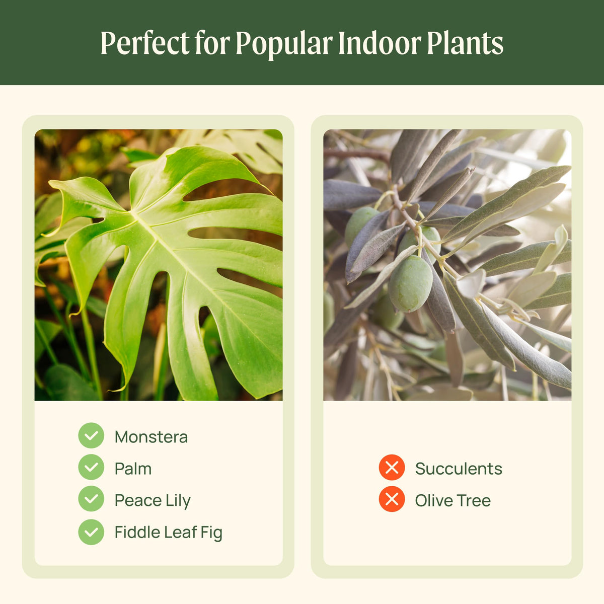 15 Inch Self-Watering Planter for Indoor Plants – Large Modern Plant Pot with Built-In Water