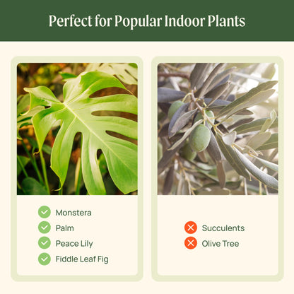 15 Inch Self-Watering Planter for Indoor Plants – Large Modern Plant Pot with Built-In Water