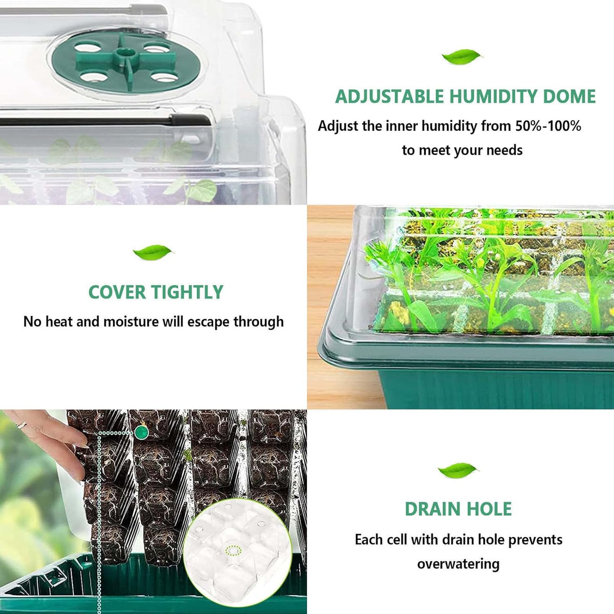 Seed Starter Tray with Grow Light, 2 Packs 80 Cells Seed Starting Kit Seedling Starter Trays with