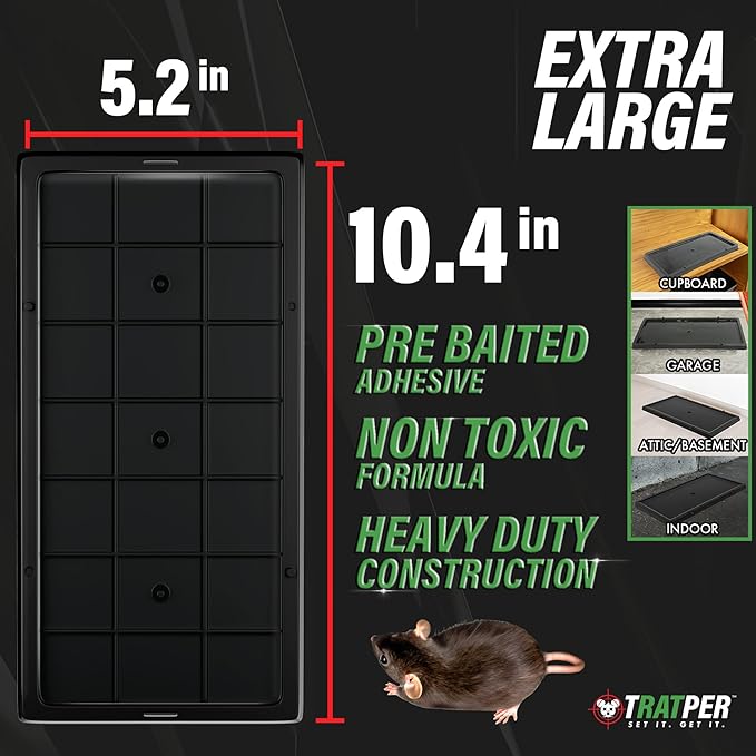 Glue Traps for Mice,Rat,Mouse,Snake,Lizard,Insect. 10 Pack. Extra Strength,Pre-Baited