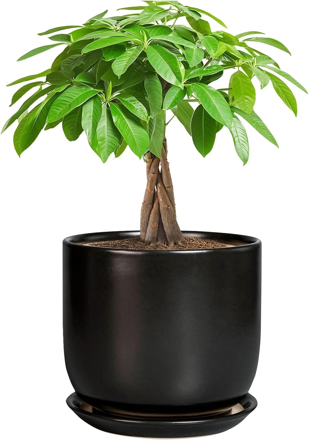 Ceramic Planter 7 Inch - Cylinder Round Modern Indoor Plant Pot for Plants with Drainage Hole and