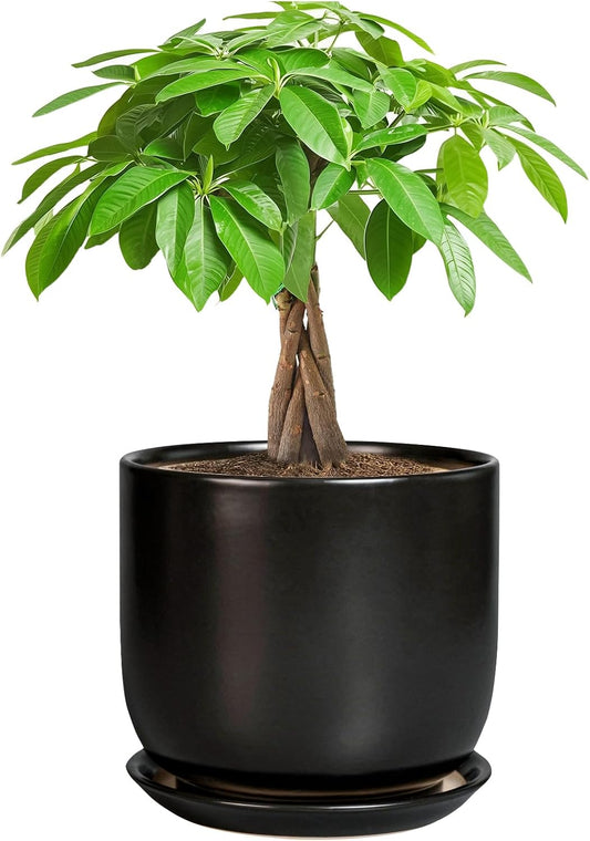 Ceramic Planter 7 Inch - Cylinder Round Modern Indoor Plant Pot for Plants with Drainage Hole and