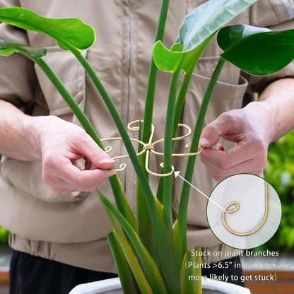 6.5IN Monstera Plant Support Hook 5PCS Durable Stem Stabilizer for Indoor Plants | Easy Setup