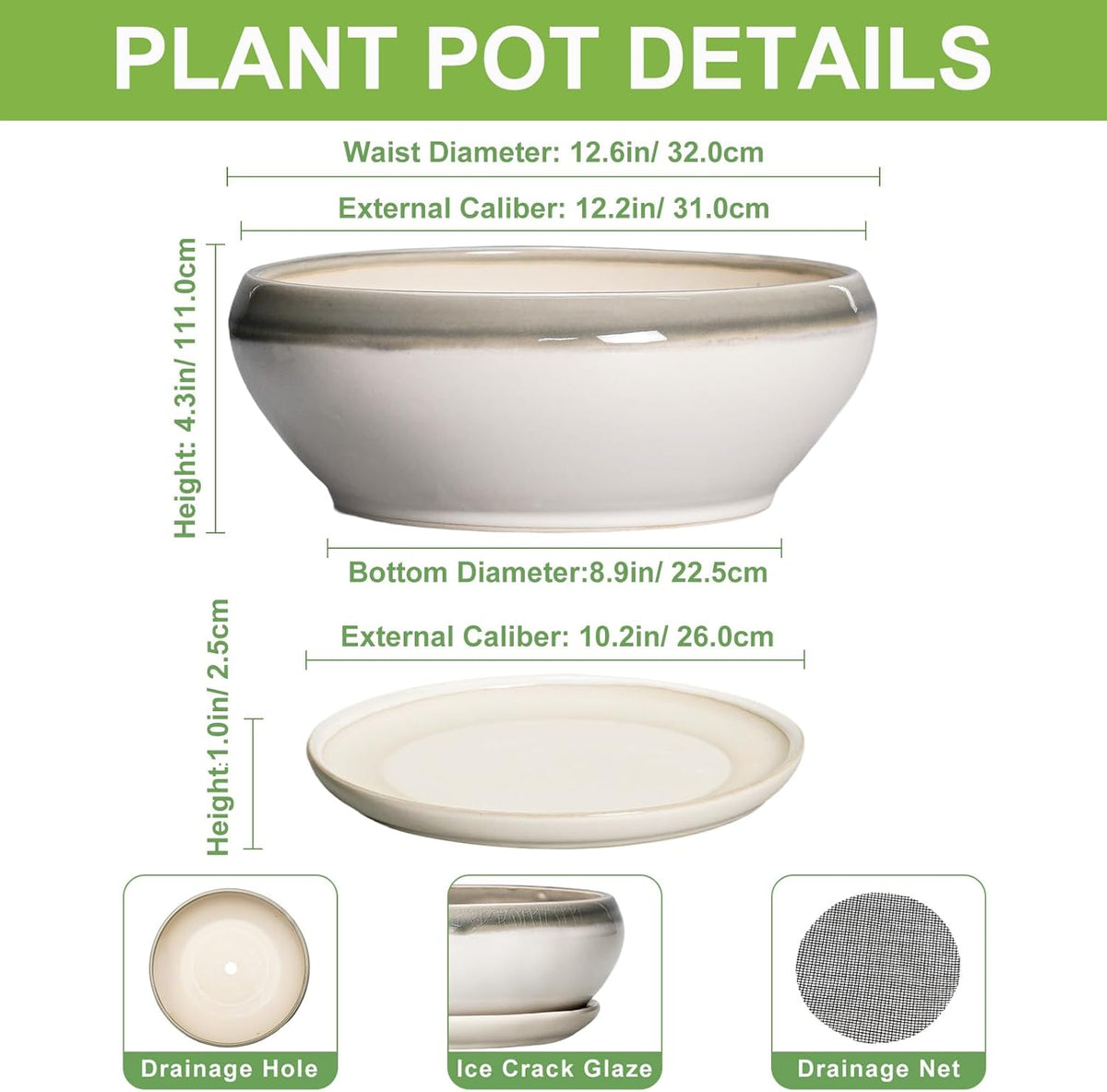 SQOWL Large Succulent Planters - 12 Inch Ceramic Bonsai Pots with Drainage Hole and Saucer, Shallow