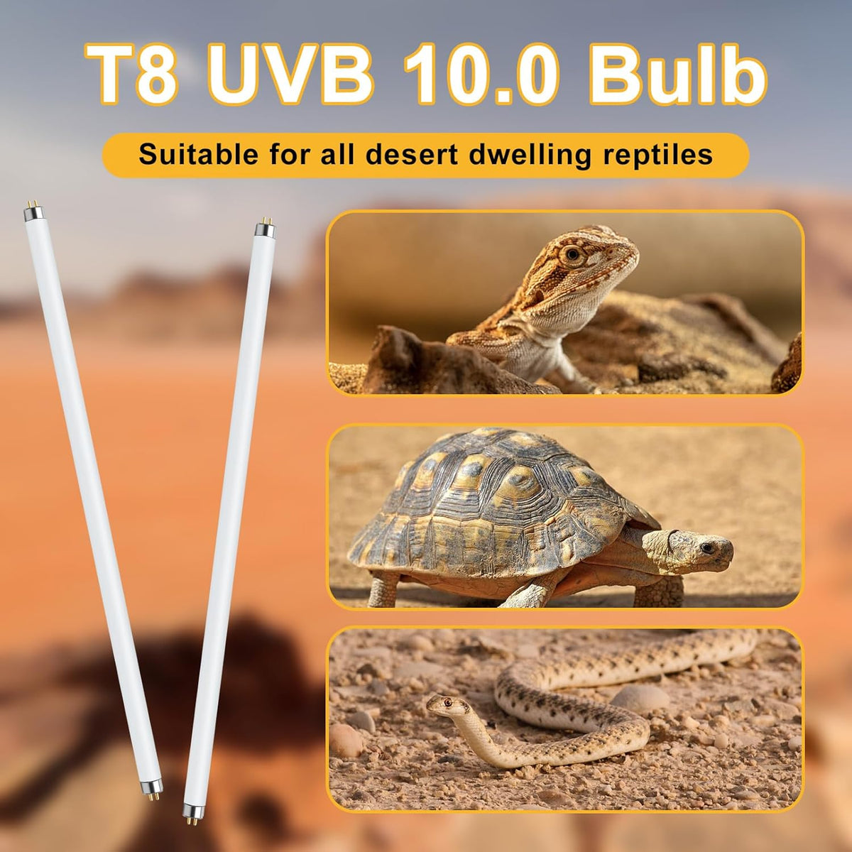 LUCKY HERP T8 30W UVB 10.0 Reptile Light, UVA UVB Reptile Light Bulb 2 Pack, Fluorescent Lamp for